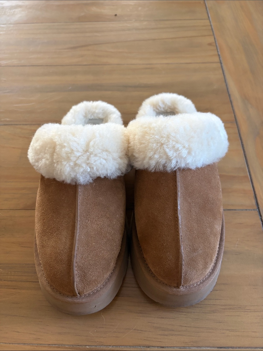Cozy Ugg Slippers in Chestnut